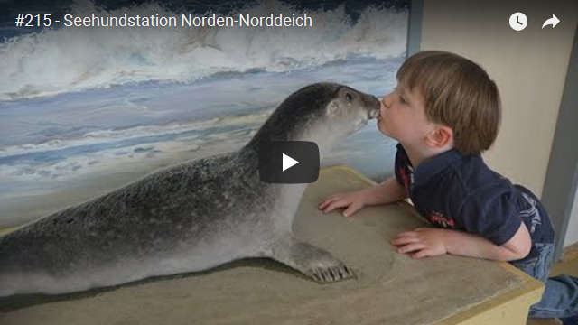 ElischebaTV_215_640x360 Seehundstation Norden-Norddeich